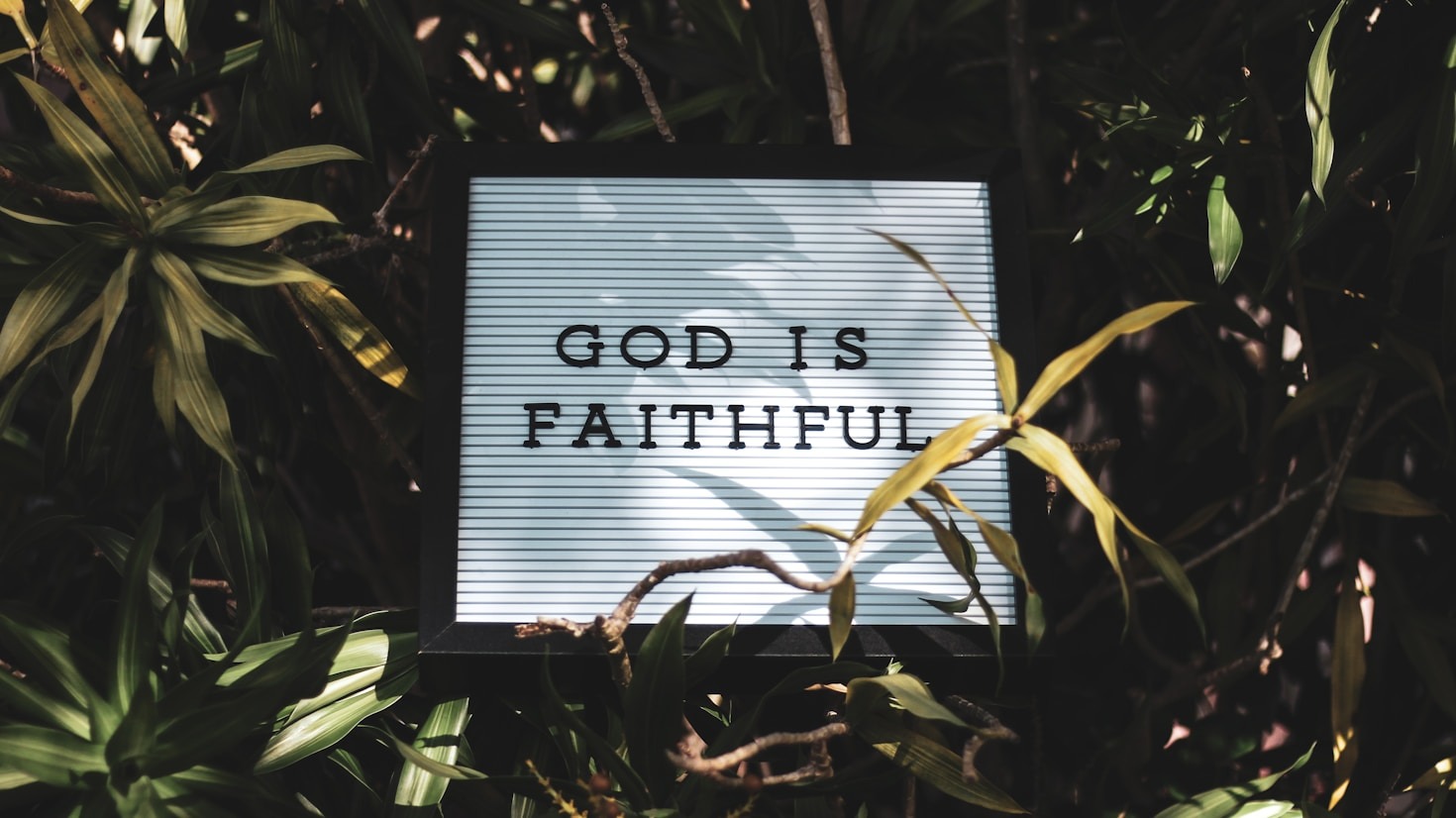 Stories of Growth from Pain and Hope